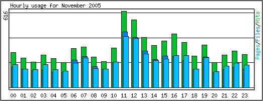 Hourly usage