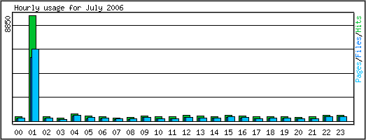 Hourly usage