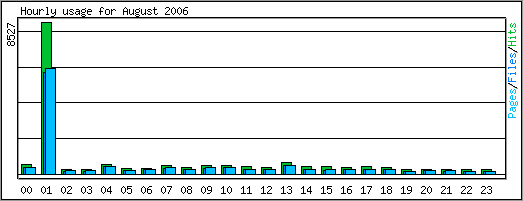 Hourly usage