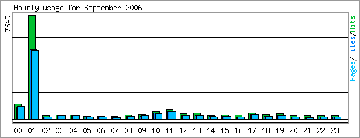 Hourly usage