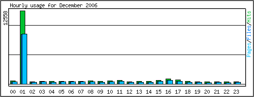 Hourly usage