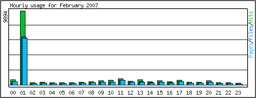 Hourly usage