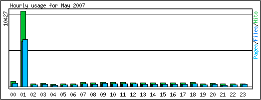 Hourly usage