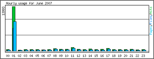 Hourly usage