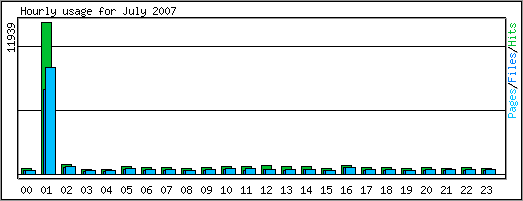 Hourly usage