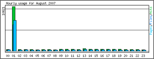 Hourly usage