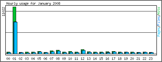 Hourly usage