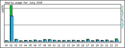 Hourly usage