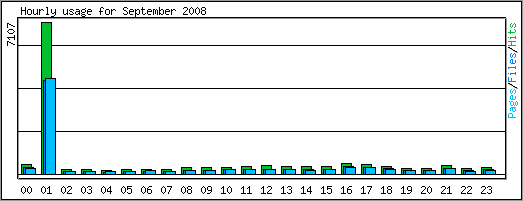 Hourly usage