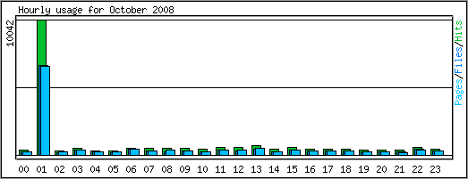 Hourly usage