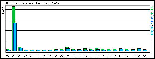 Hourly usage