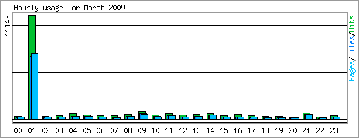 Hourly usage