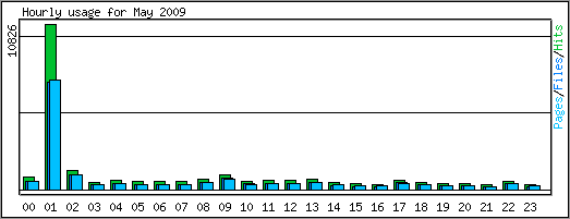 Hourly usage