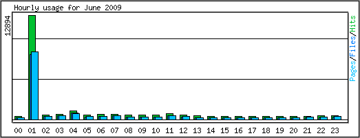 Hourly usage