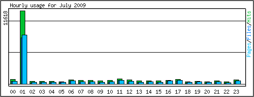 Hourly usage