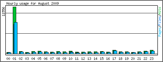 Hourly usage